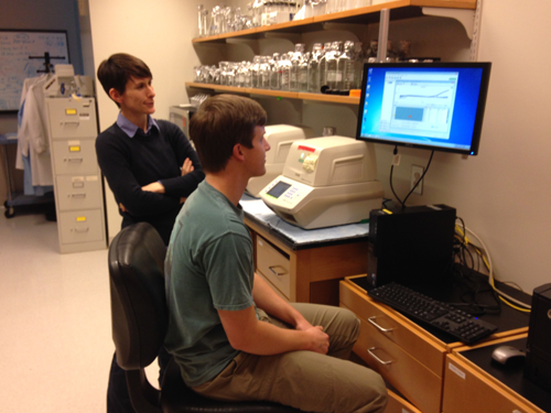 Norovirus detection